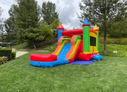 Fiesta deluxe combo (wet/dry)