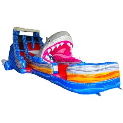 Shark attack 20ft dual lane